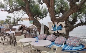 Big Blue Beach Bar & Apartments